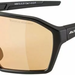 Alpina Sportbrille RAM Q-LITE V Black Matt / Red
