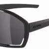 Alpina Sportbrille BONFIRE All Black Matt / Smoke