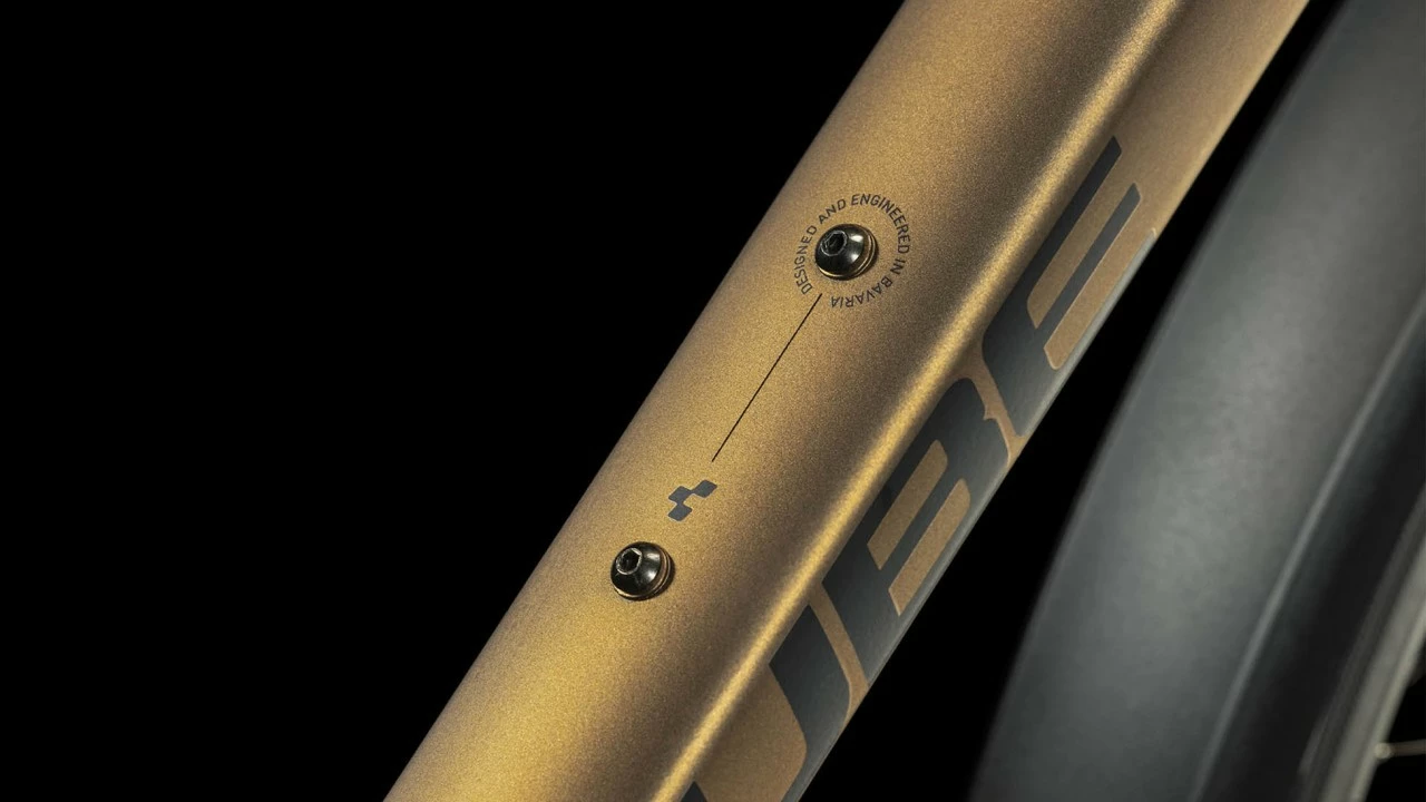 Cube Nature Pro Allroad Gold´n´black 2023 – Bild 4