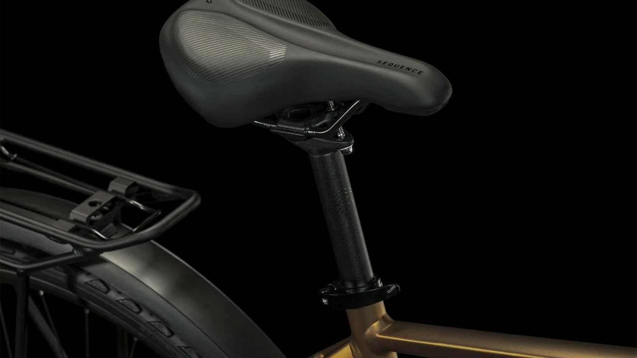 Cube Nature Pro Allroad Gold´n´black 2023 – Bild 7